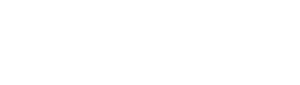 Мой Тендер